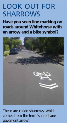 Whitehorse News - sharrows.